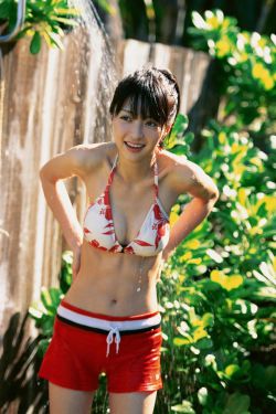 渡清欢